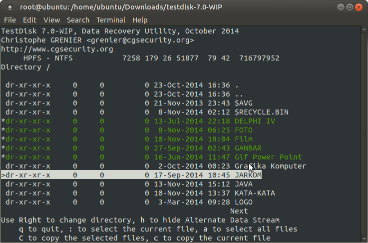 Seleksi file dan folder